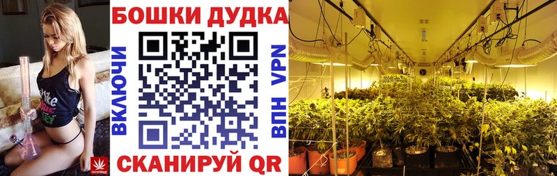 Где найти наркотики Кодинск Alpha PVP  Мефедрон  Гашиш  Канабис  COCAIN 